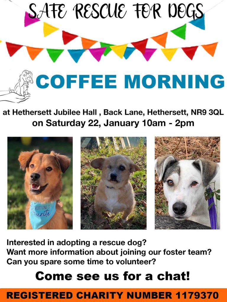 Safe Rescue Dogs Coffee Morning – 22nd January 2022